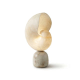 NACRELLE Alabaster Shell Table Lamp