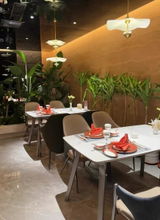 Crescent  Pendant light