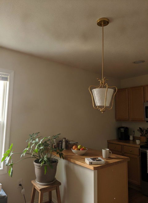 OSTRELLA Natural Shell Pendant Light