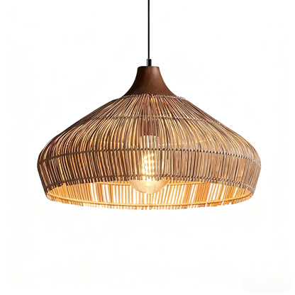 Wabi-sabi Retro Rattan Pendant Wicker Light Fixture Hand-Woven Coastal Boho Rayora Lamp