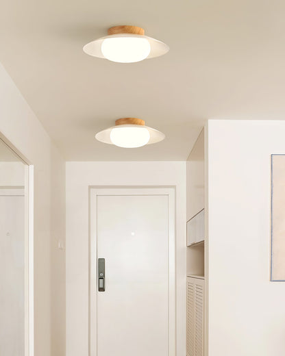 Wafer Ceiling Light