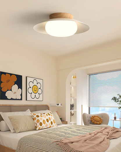 Wafer Ceiling Light