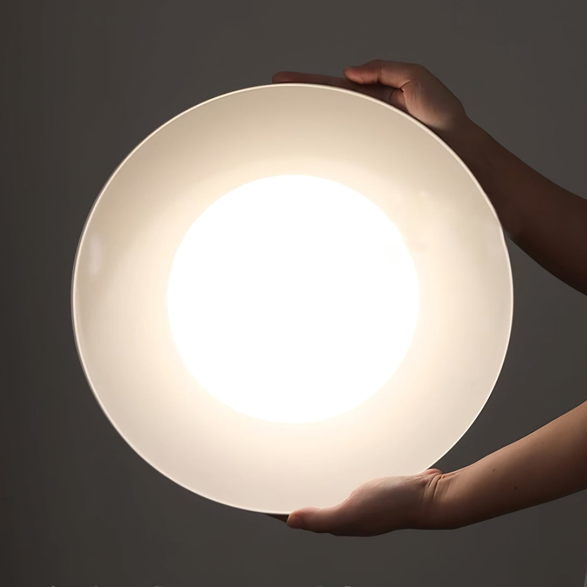 Wafer Ceiling Light