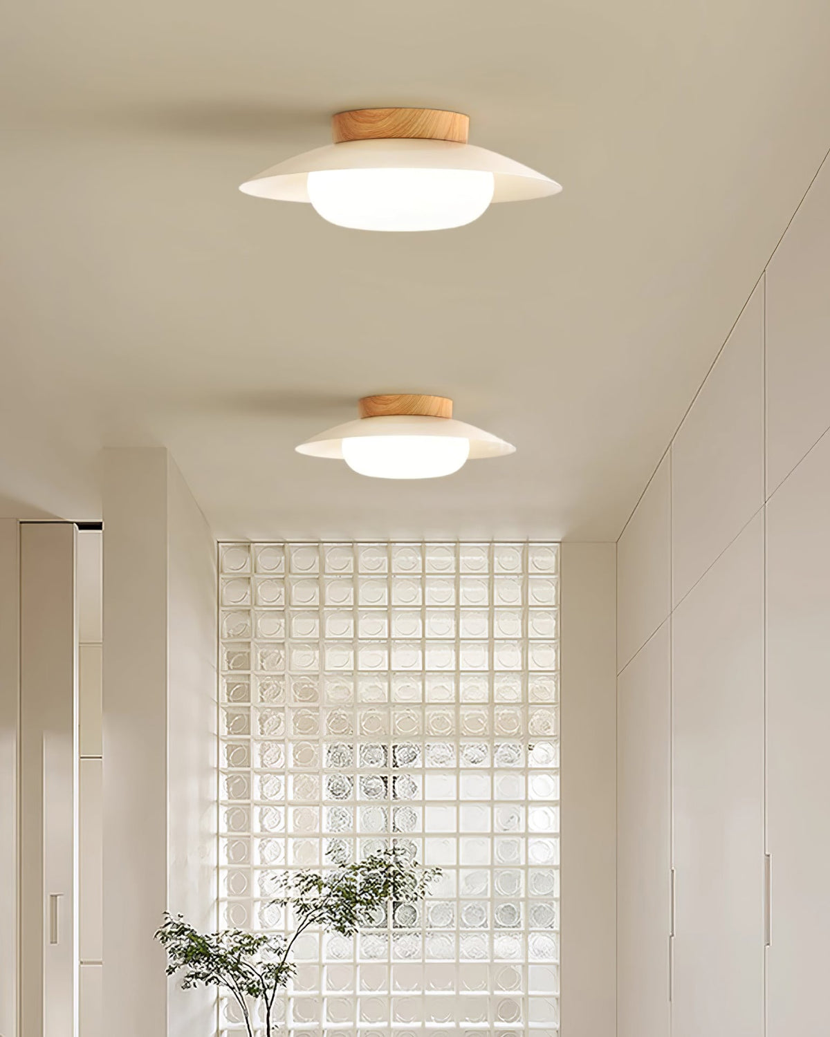 Wafer Ceiling Light
