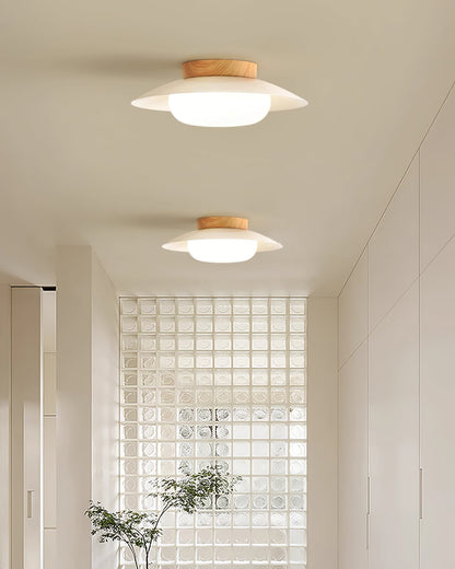 Wafer Ceiling Light