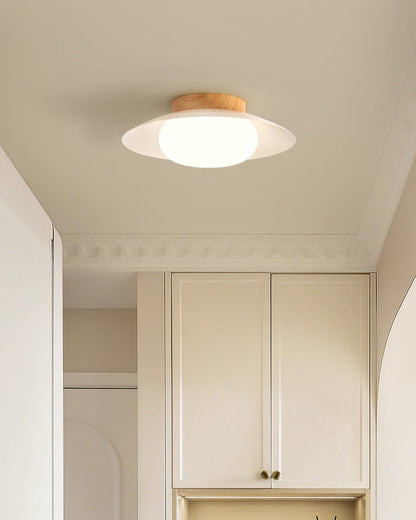 Wafer Ceiling Light