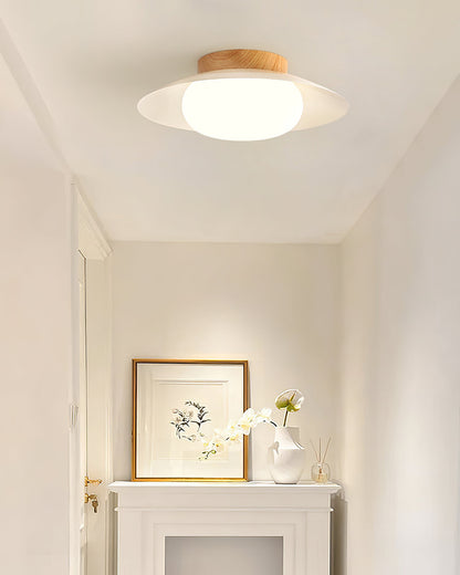 Wafer Ceiling Light