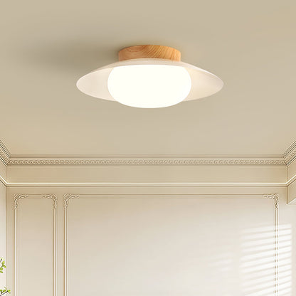 Wafer Ceiling Light