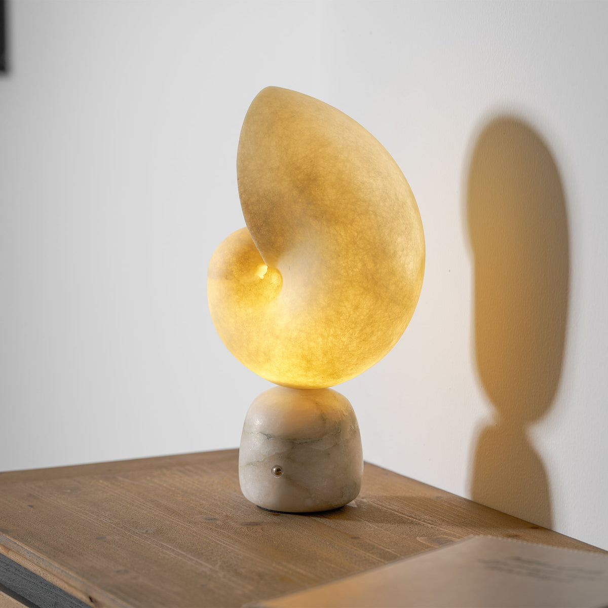Conch Alabaster Table Lamp