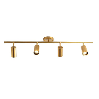 Modern Delia Ceiling Lamp