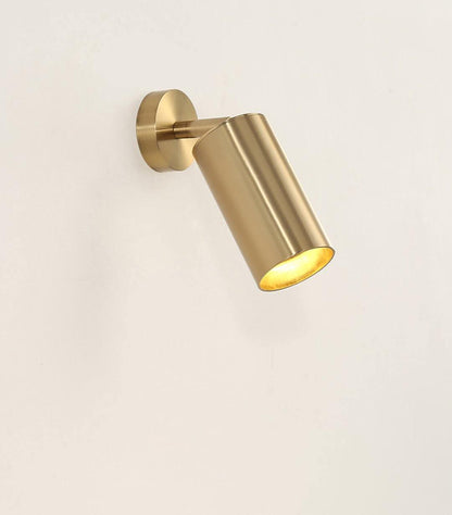 Modern Delia Ceiling Lamp