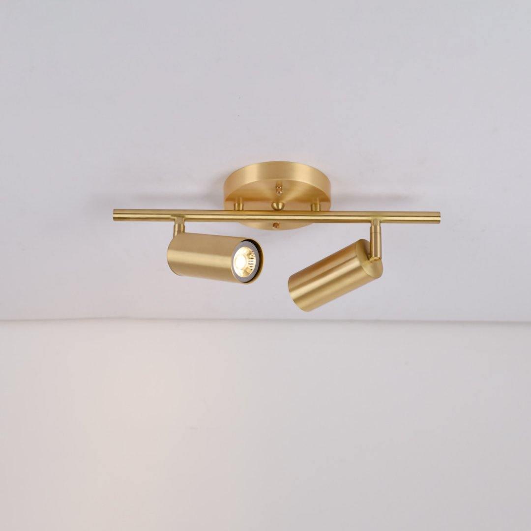 Modern Delia Ceiling Lamp