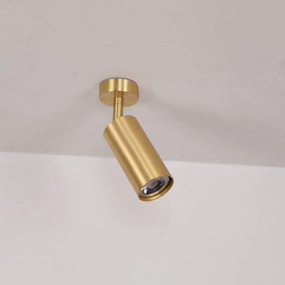 Modern Delia Ceiling Lamp