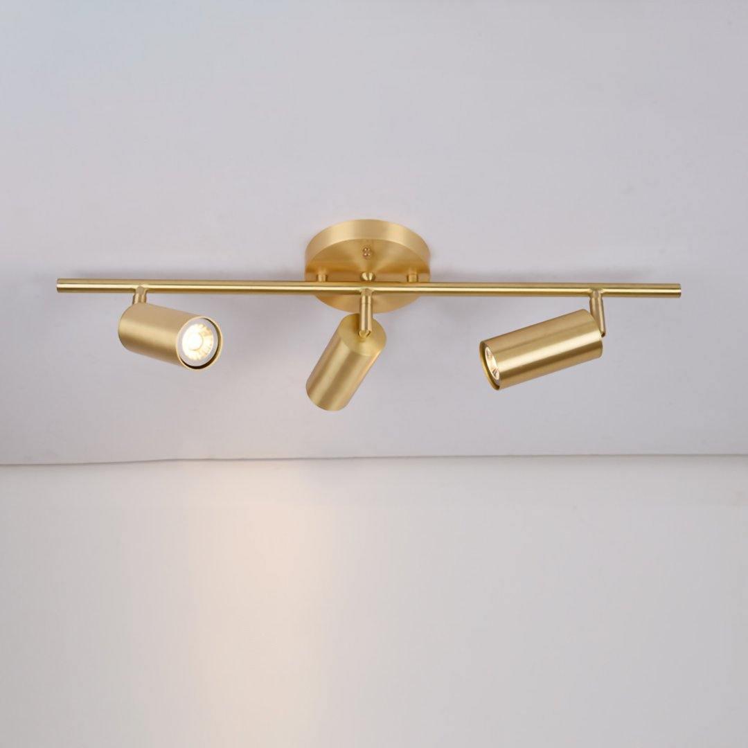 Modern Delia Ceiling Lamp