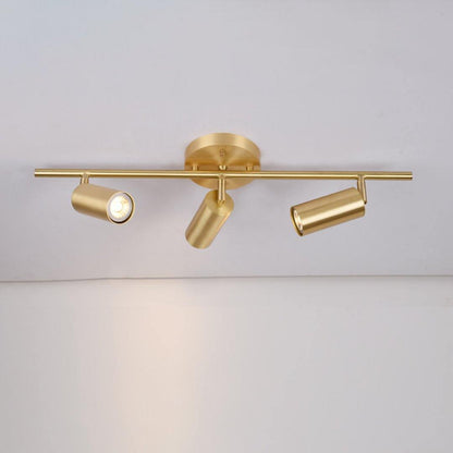 Modern Delia Ceiling Lamp