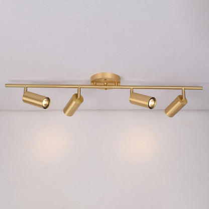 Modern Delia Ceiling Lamp