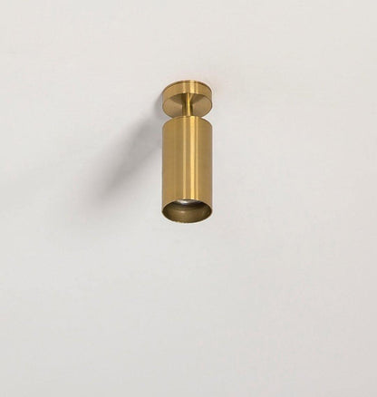 Modern Delia Ceiling Lamp
