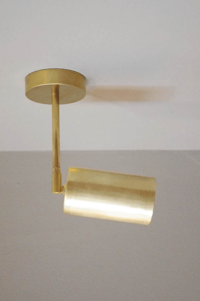 Modern Delia Ceiling Lamp