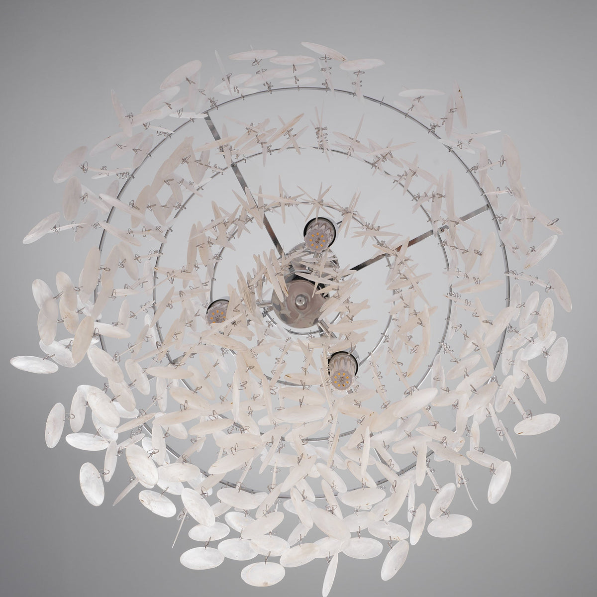 COQUILLE Tiered Shell Chandelier