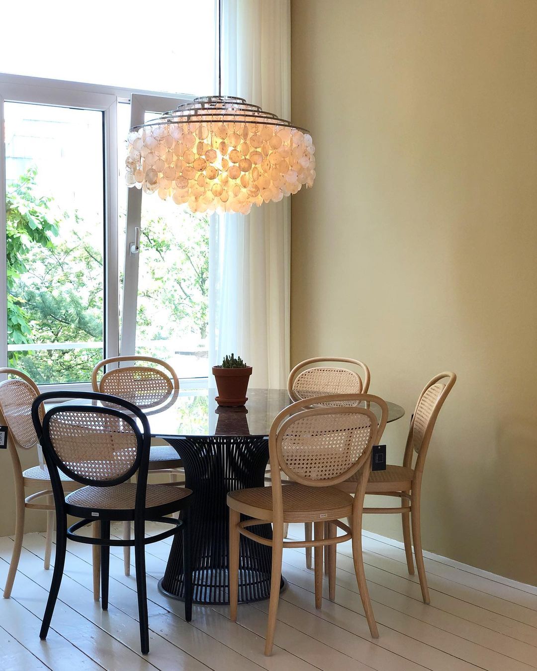 COQUILLE Tiered Shell Chandelier