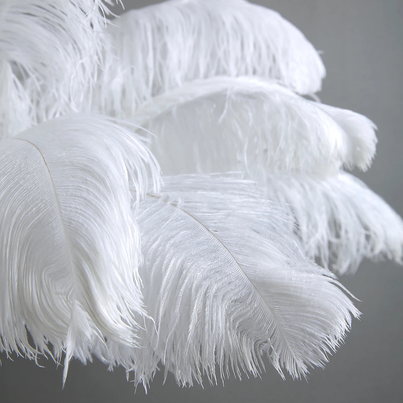 Ostrich Feather Brass Tabel Lamp