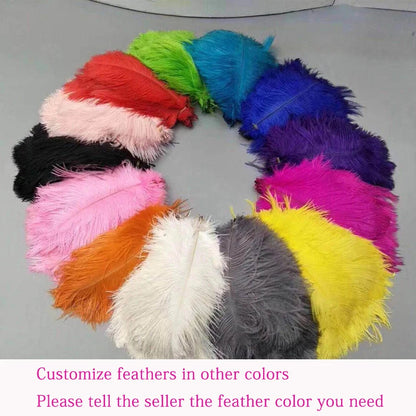 Ostrich Feather Brass Floor Lamp