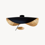 ALVENA Curved Disc Ceiling Light