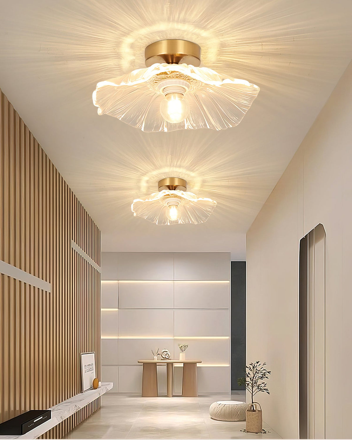 Micle Ceiling Light