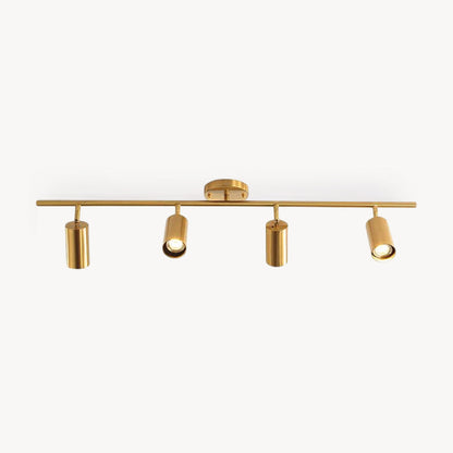 Modern Delia Ceiling Lamp