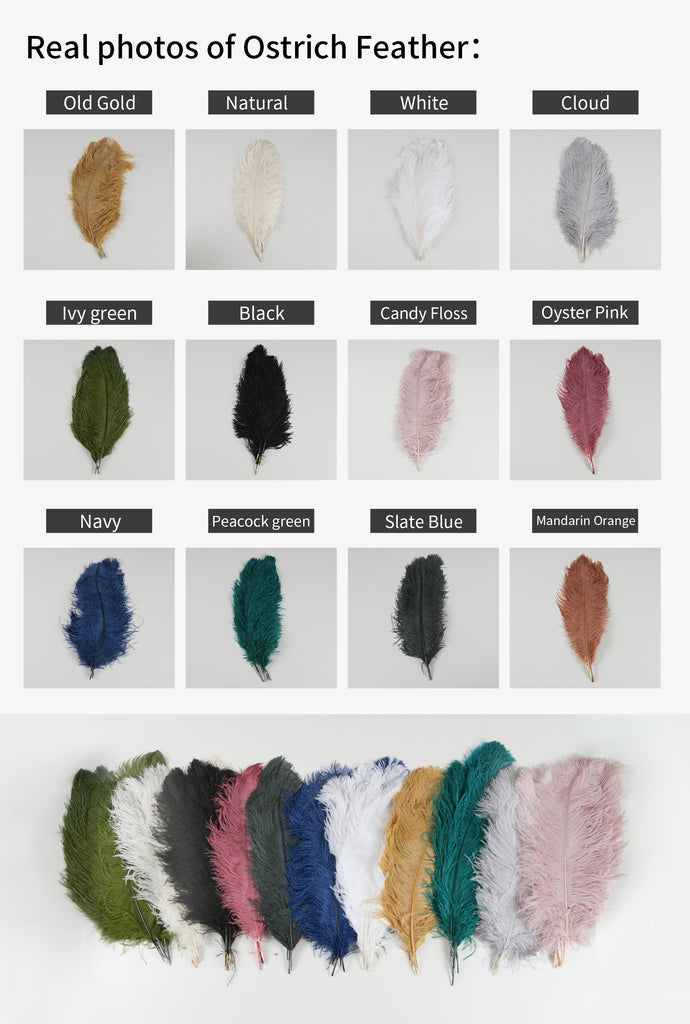 Feather Ostrich Chandelier