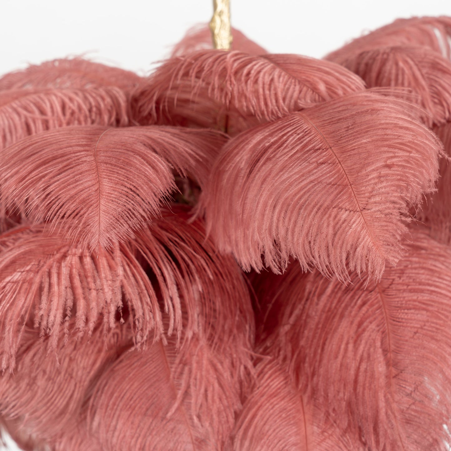 Feather Ostrich Chandelier