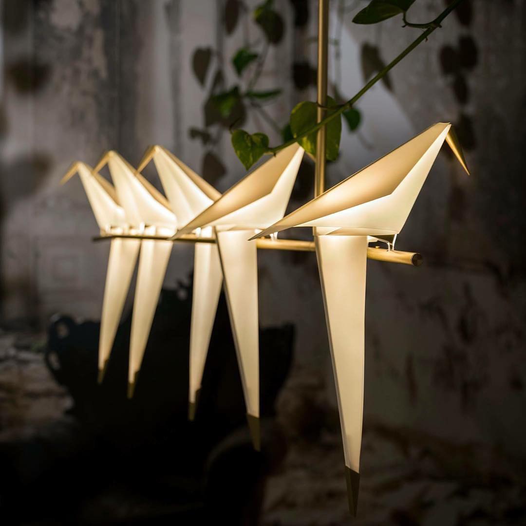 Aviora Pendant Lamp