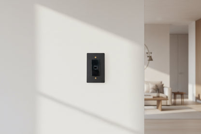 Black-Gold Brass Panel Plate Toggle