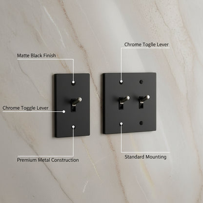  Solid Brass Light Switch 2-Gang