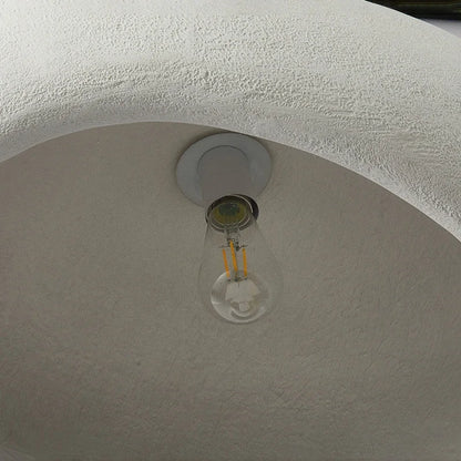 Oceana Dome  Pendant Light