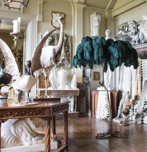 Ostrich Feather Brass Floor Lamp