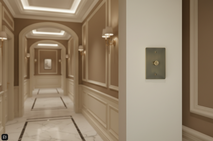 The Brass Dimmer Switch (1–4 Gang)