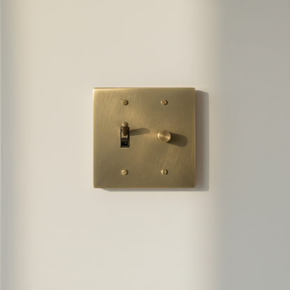  Solid Brass Light Switch 2-Gang