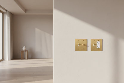  Solid Brass Light Switch 2-Gang