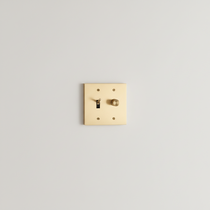  Solid Brass Light Switch 2-Gang