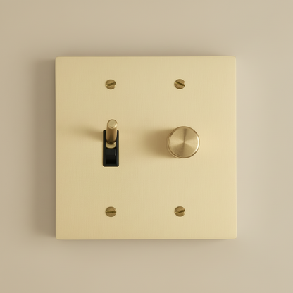 Solid Brass Light Switch 2-Gang