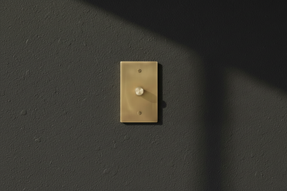 The Brass Dimmer Switch (1–4 Gang)