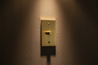 The Brass Dimmer Switch (1–4 Gang)