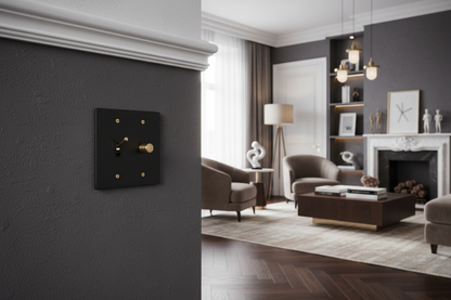  Solid Brass Light Switch 2-Gang