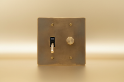 Solid Brass Light Switch 2-Gang