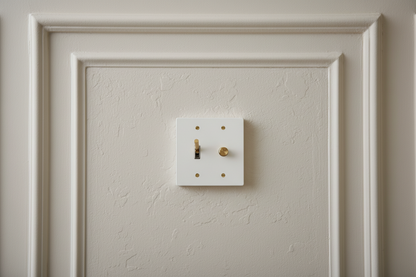  Solid Brass Light Switch 2-Gang