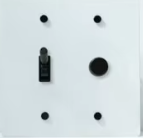  Solid Brass Light Switch 2-Gang