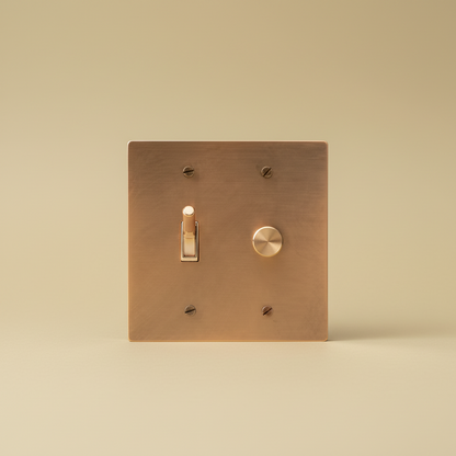  Solid Brass Light Switch 2-Gang