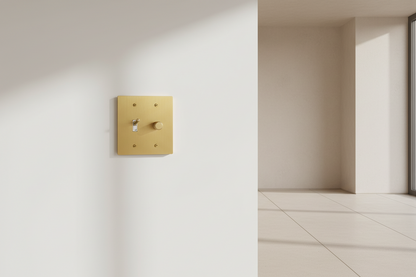  Solid Brass Light Switch 2-Gang