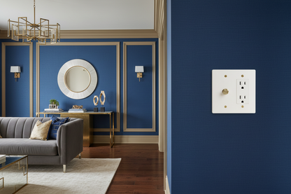  Solid Brass Light Switch 2-Gang